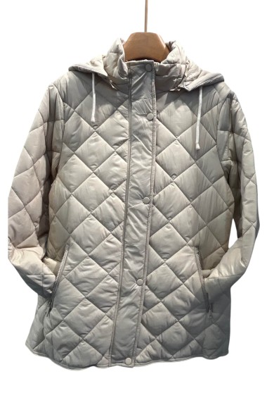 CHAQUETA ACOLCHADA LIGERA CON CAPUCHA 4COLORES TY-Z56571