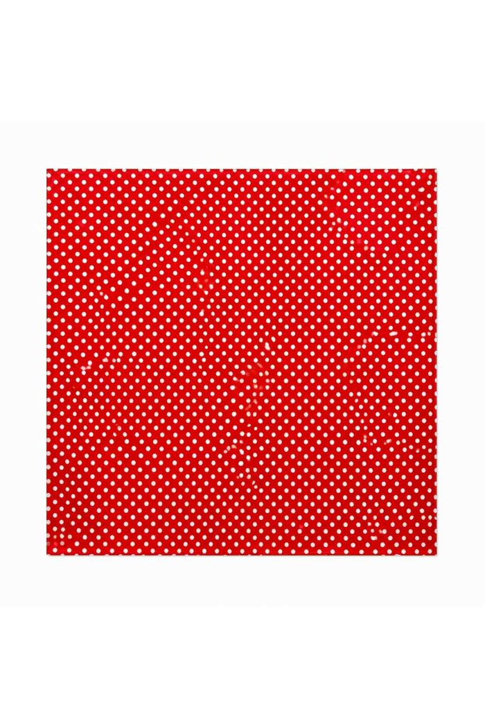 PAÑUELO CUADRADO DE LUNARES VARIOS COLORES TM-WJ1721