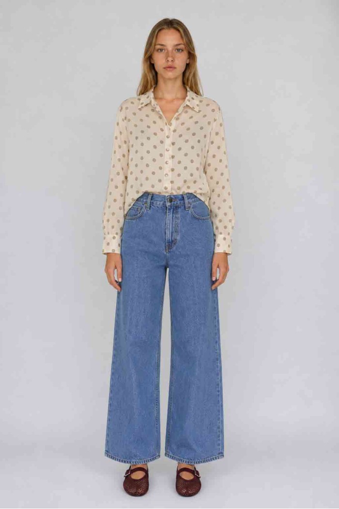 Blusa Camisera De Plumeti Con Lunares Para Mujer TB-X6353