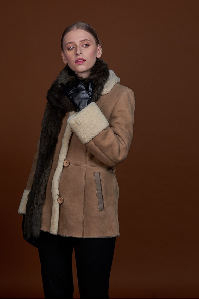 Estola PC-WPH5482-01