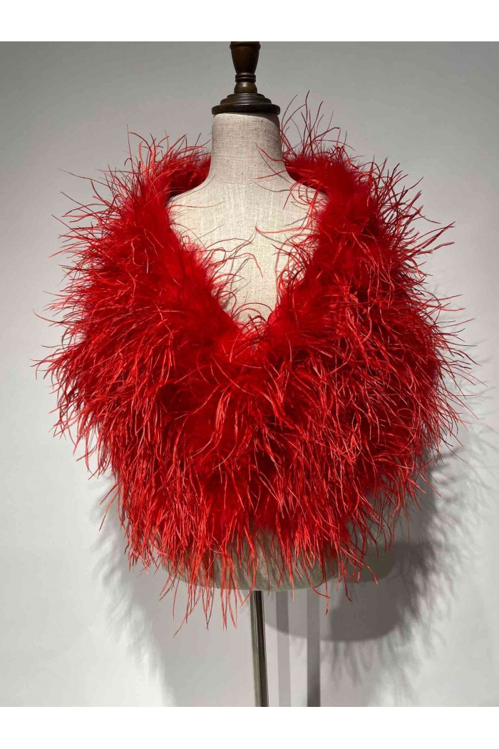 Estola plumas larga Avestruz PC-YLM5625-23