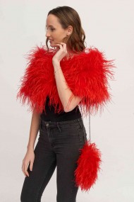 Estola plumas larga Avestruz PC-YLM5625-23