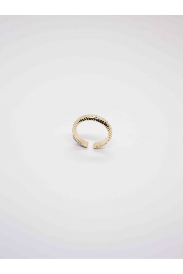 ANILLO