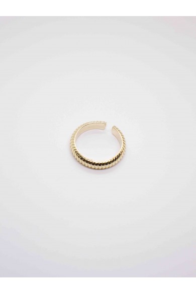 ANILLO