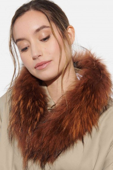 Cuello PC-XXX5533