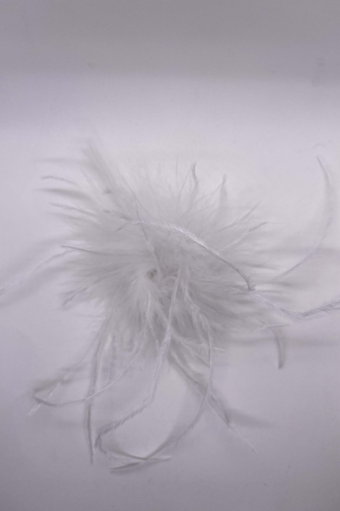 BROCHE PLUMAS DE AVESTRUZ 10colores PC-YLM2113