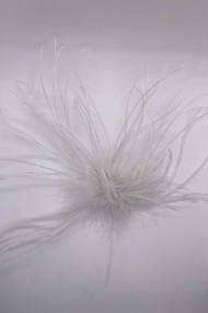 BROCHE PLUMAS DE AVESTRUZ 10colores PC-YLM2113