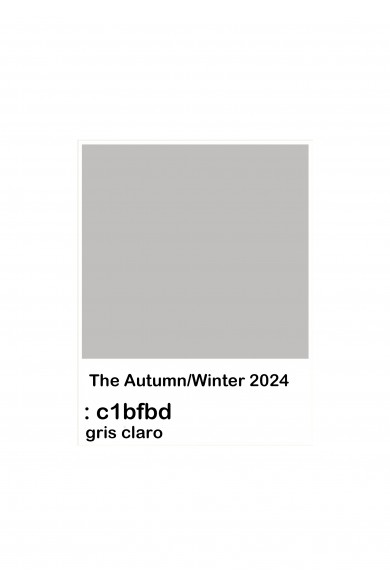 2024 COLOR GRIS CLARO