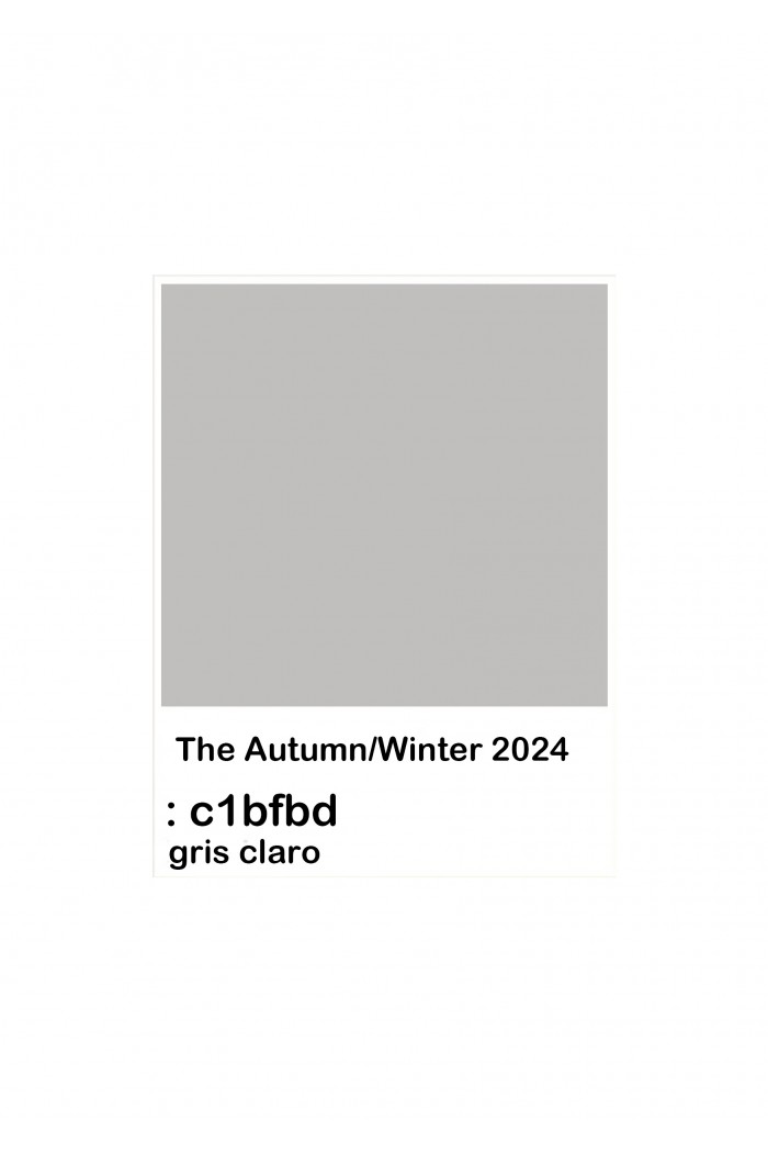 2024 COLOR GRIS CLARO