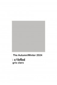 2024 COLOR GRIS CLARO