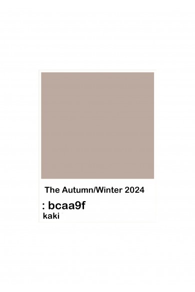 2024 COLOR KAKI
