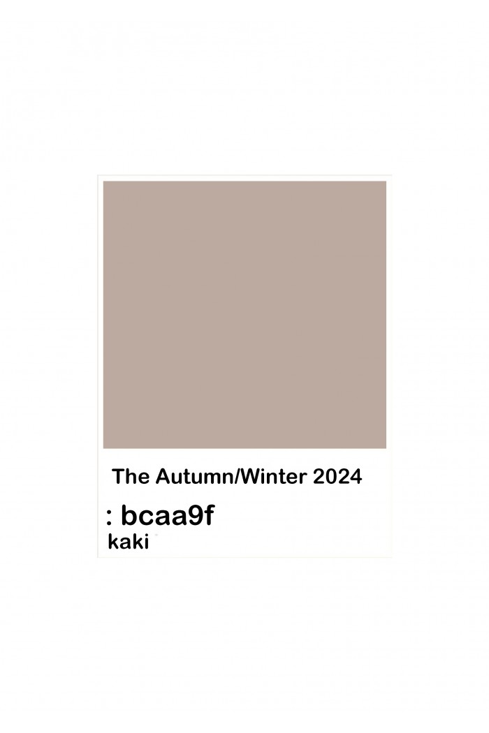 2024 COLOR KAKI