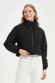 CHAQUETA CORTA ACOLCHADA 6 COLORES OBR-F2035